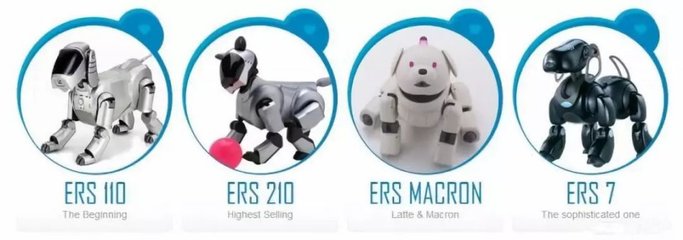 “人不如狗”？當(dāng)寵物市場(chǎng)超越婚介市場(chǎng)，我們?cè)撊绾慰创楦邢M(fèi)的變遷