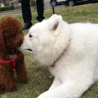 牙膏里加芥末？看“卜陛卜陛”如何用創(chuàng)意詮釋生活情趣